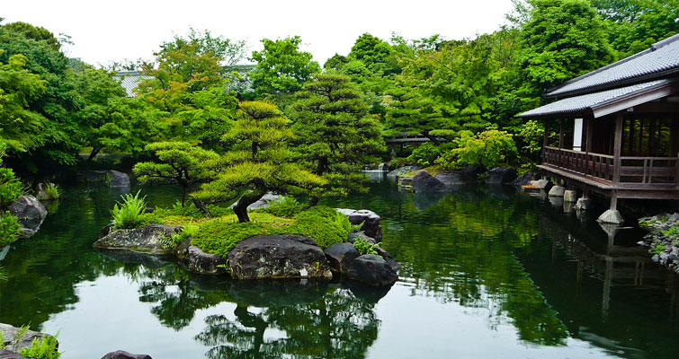 Le jardin Koraku-en à Tokyo