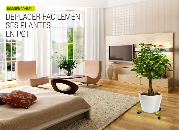 Déplacer facilement ses plantes en pot