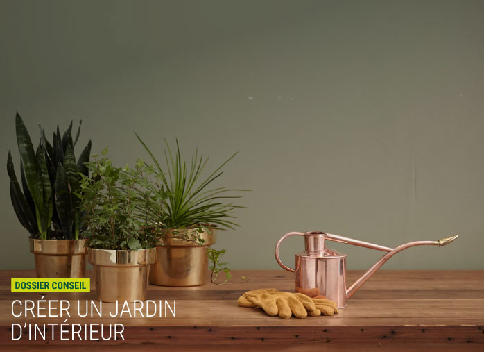 Comment créer un jardin d'intérieur chez soi ?