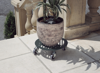 Decorative rolling support for green plants