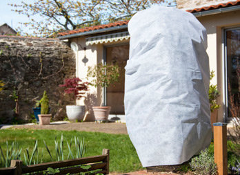 1 overwintering cover with zipper