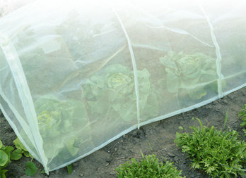 Accordion-style foldable tunnel with insect netting