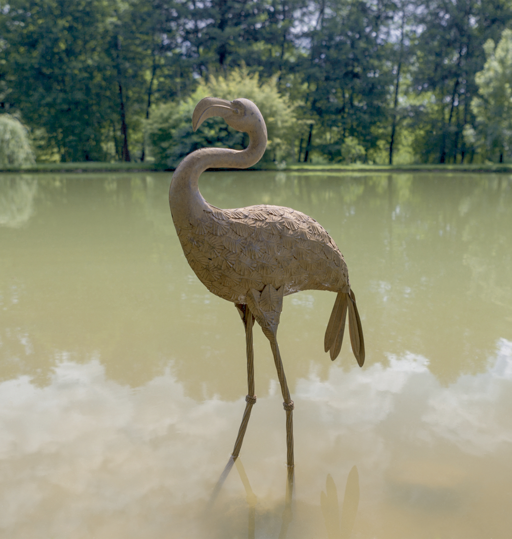 Site de rencontre flamand