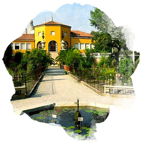 Jardin botanique de Padoue en Italie