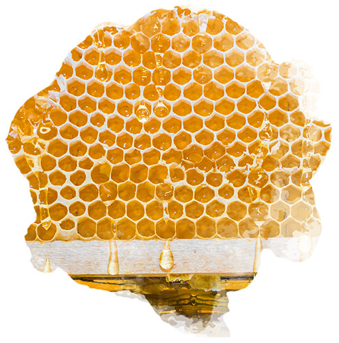 Un pot de miel fait maison par des abeilles