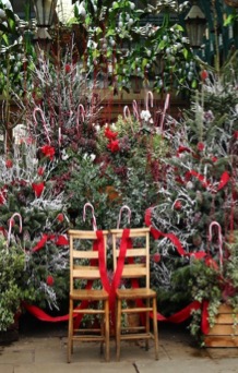 5 idées de cadeau jardin pour un ami passionné