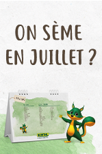 Que faire au jardin en juillet ?