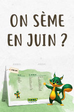 Que faire au jardin en juin ?