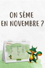 Que faire au jardin en novembre ?