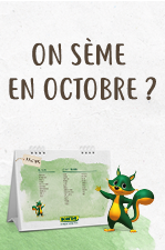 Que faire au jardin en octobre ?