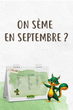 Que faire au jardin en septembre ?