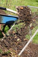 Journée mondiale du recyclage : les utilisations du compost au jardin