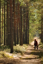 Cueillette de Printemps au sous-bois