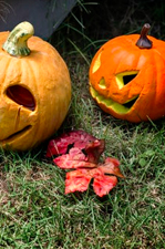 Décorer son jardin pour Halloween