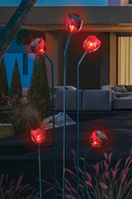 Illuminez votre jardin pour la Saint-Valentin