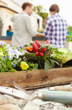 Un jardin à la mode : Le jardin d'entreprise