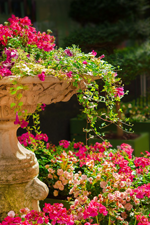 Réussir votre jardin d’ornement : nos conseils