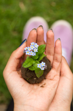 Les 7 travaux du jardin au printemps