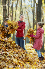 L'art de ramasser les feuilles en automne