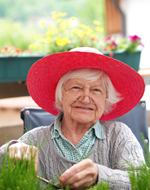 Recettes de Grand-Mère et plantes médicinales