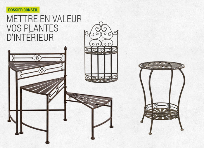 Mettre en valeur vos plantes d’intérieur