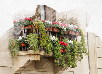 Comment créer un balcon fleuri