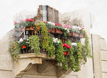 Comment créer un balcon fleuri