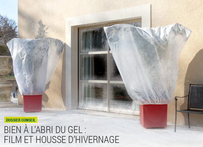 Bien à l’abri du gel : Film et housse d’hivernage