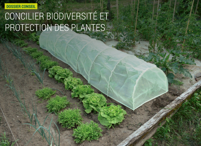 Concilier Biodiversité et protection des plantes