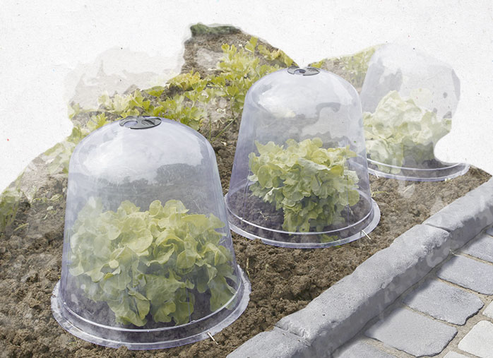 Les cloches de jardin