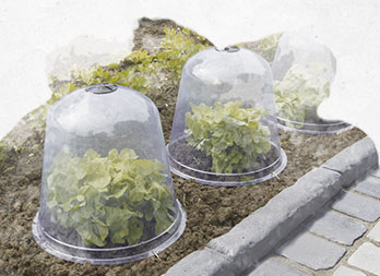 Les cloches de jardin