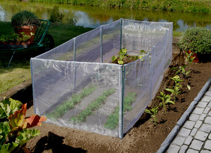 Stop aux dégâts causés par les insectes dans les potagers