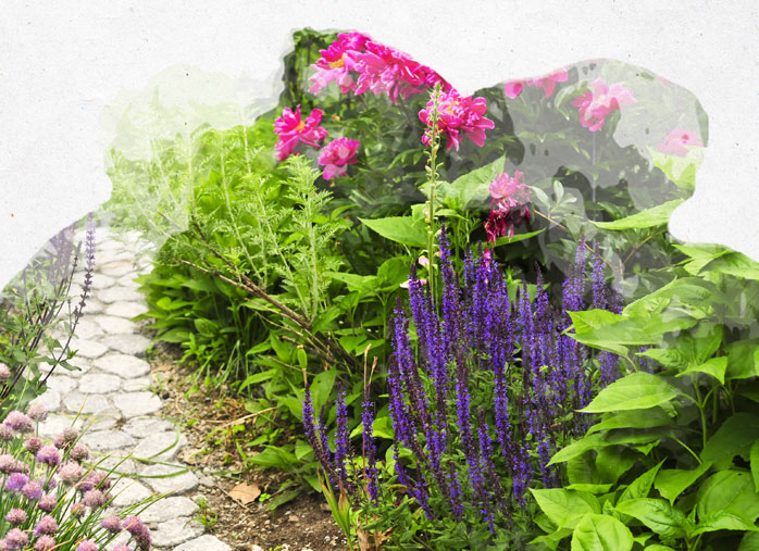 Créez votre jardin bucolique