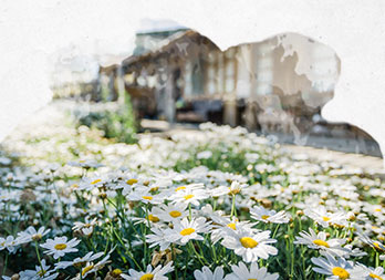 Créer un jardin romantique