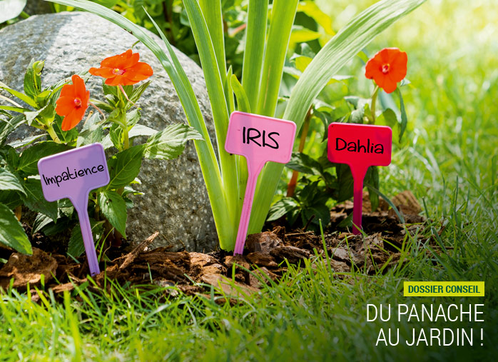Du panache au jardin !