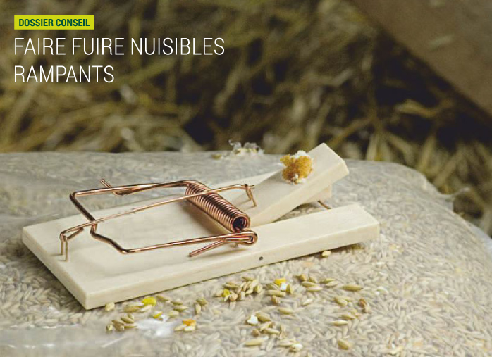 Faire fuir les nuisibles rampants
