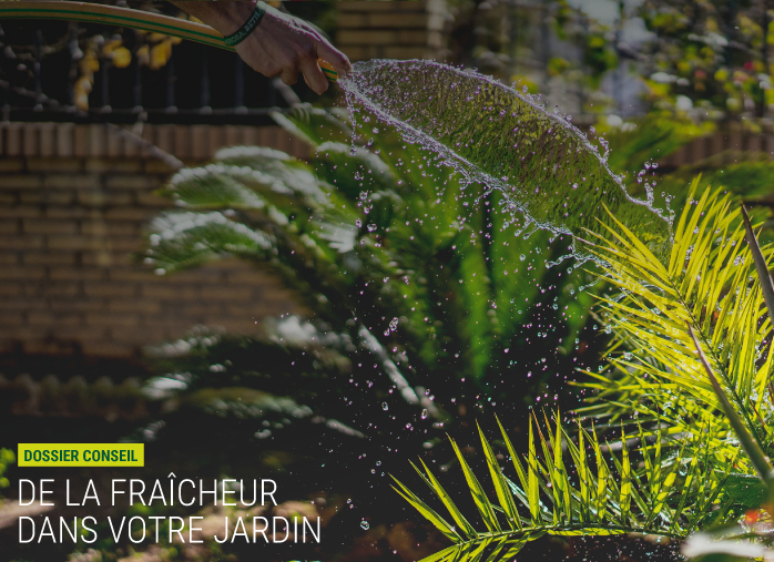 De la fraîcheur dans votre jardin cet été