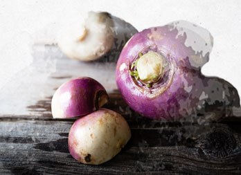 Légumes anciens : semis et culture du rutabaga