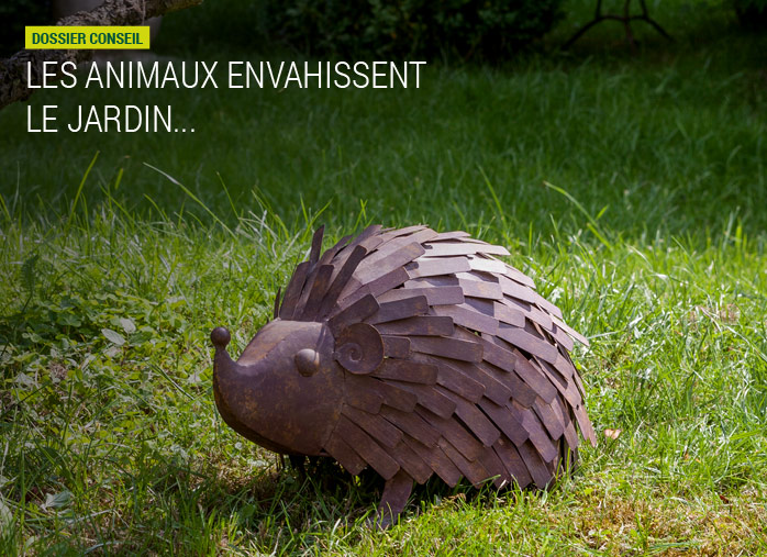 Les animaux envahissent le jardin