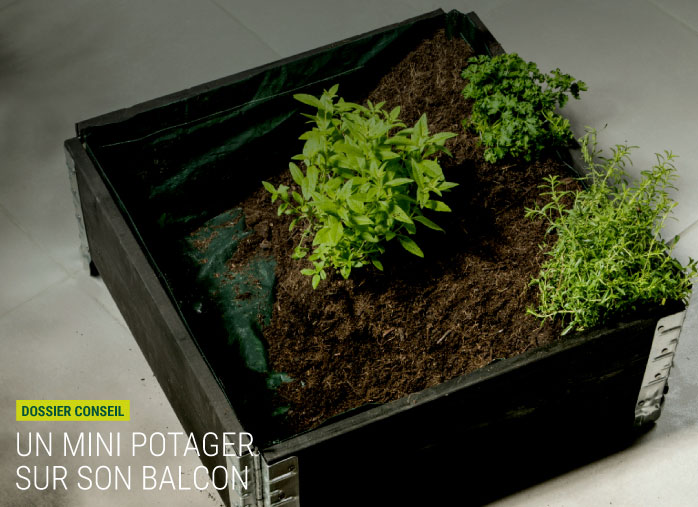 Un mini potager sur son balcon : Modulo Garden