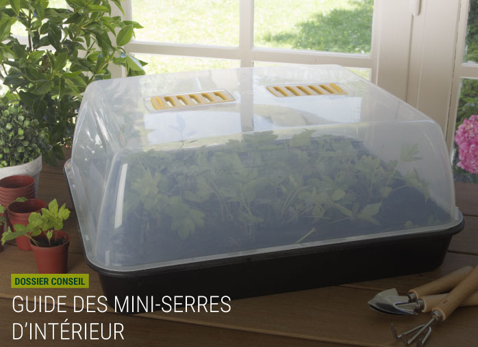 Le guide des mini serres d’intérieur