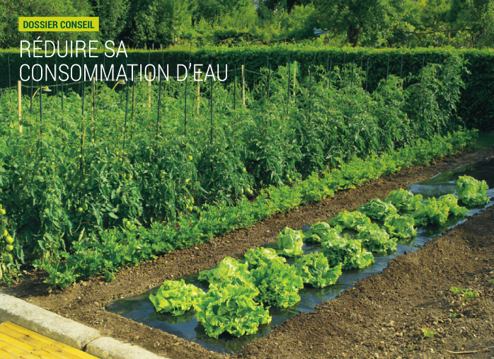 Réduire sa consommation d'eau au jardin
