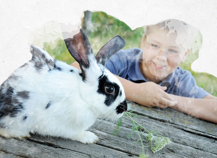 Sortir ses animaux au jardin