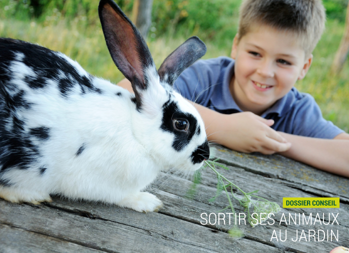 Sortir ses animaux au jardin