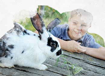 Sortir ses animaux au jardin