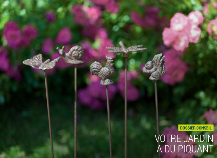 Votre jardin a du piquant