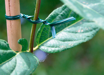 Jute, ficelle de jardin - Nortene