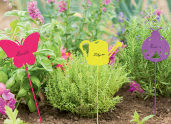 Étiquettes à planter pour herbes aromatiques