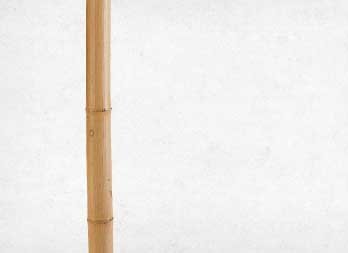 Decorative bamboo cane