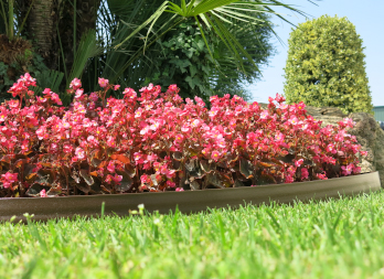 Bark Border is a polyethylene bordure with a brown colored smooth wood texture imitation